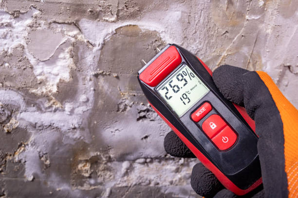 Best Commercial Mold Remediation in Ravenna, OH